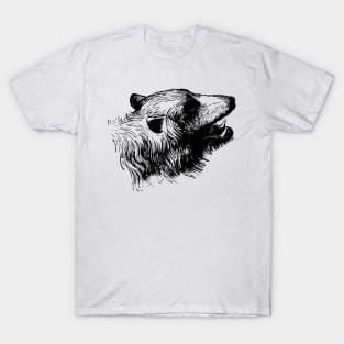 Vintage Bear Sketch T-Shirt